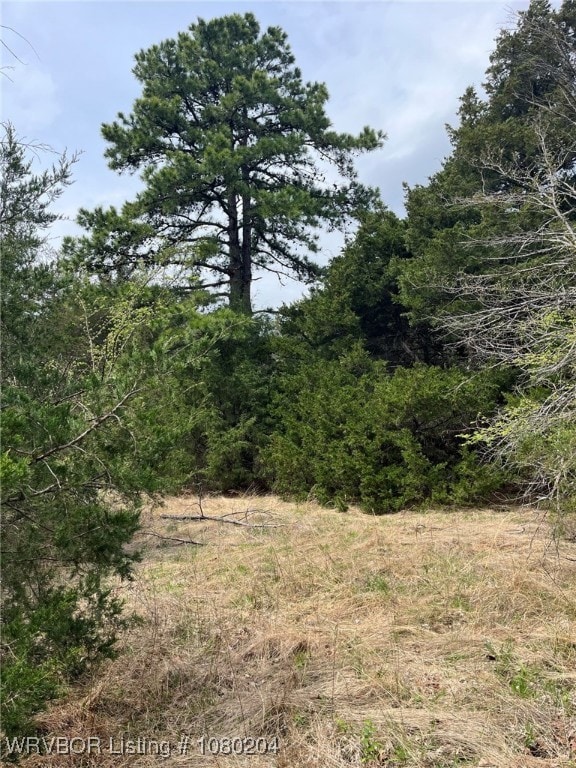 Tract 3 Station Rd, Bokoshe, OK 74930 - photo 5