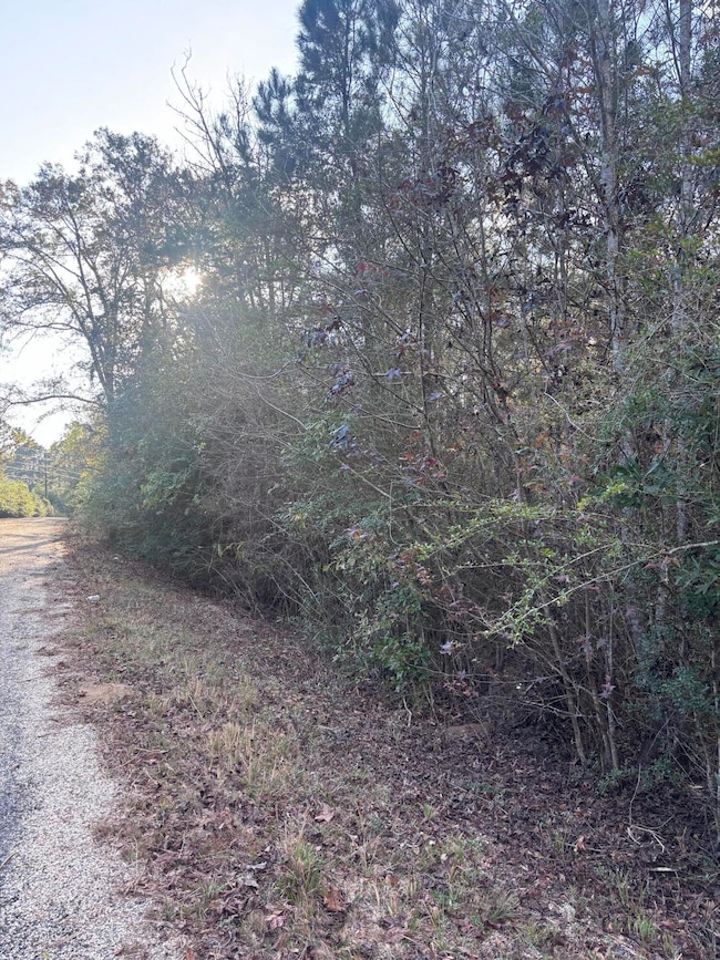 00 Williams Cutoff, Sumrall, MS 39482 - photo 6