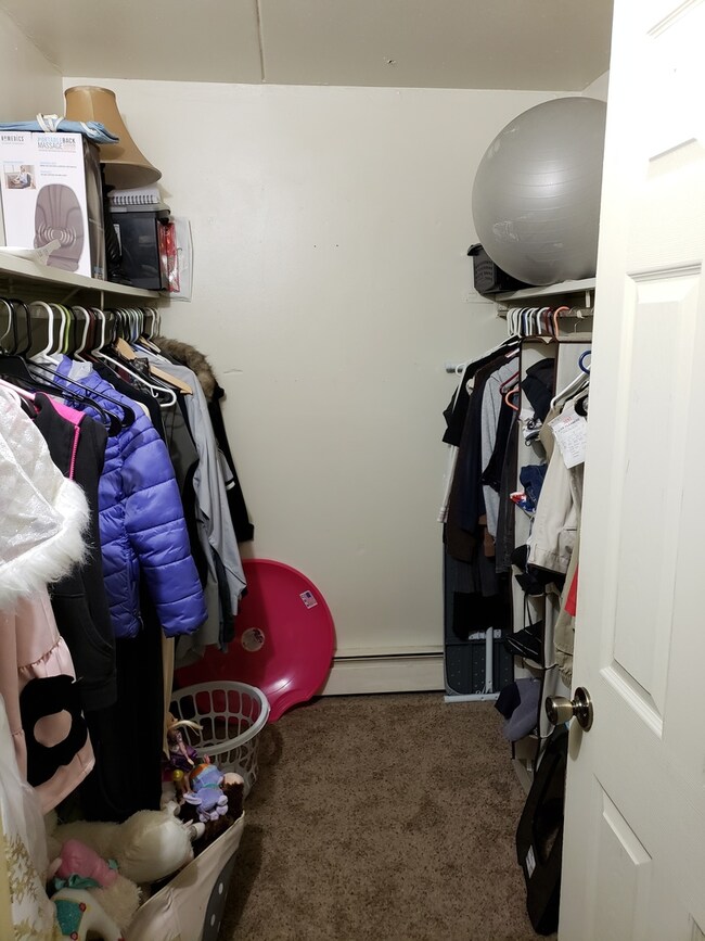 1674 Ishnala Dr unit 102, Naperville, IL 60565 - photo 5