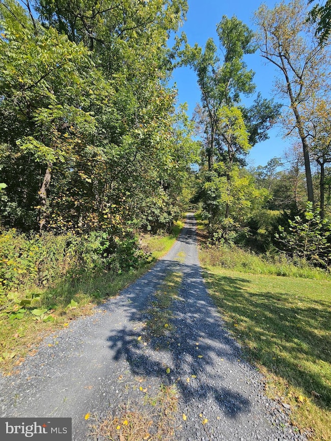 510 Windy Pines Rd, Front Royal, VA 22630 - photo 6