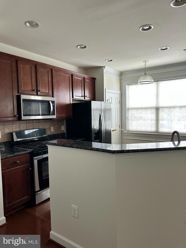 13627 Venturi Ln unit 161, Herndon, VA 20171 - photo 3