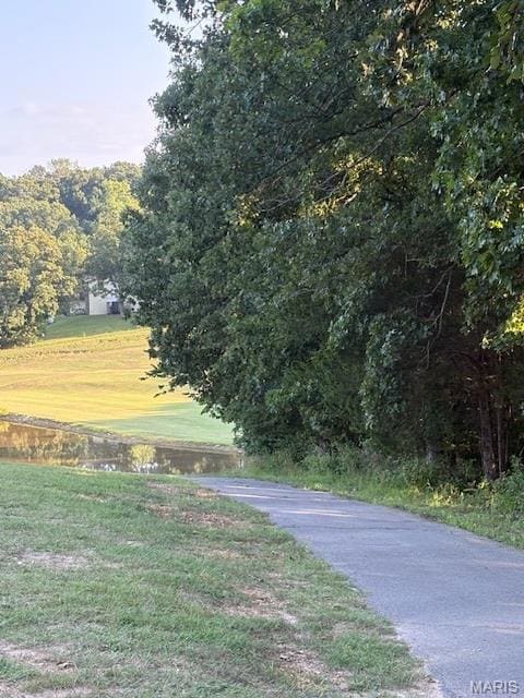 5752 Treebrook Dr, Hillsboro, MO 63050 - photo 3