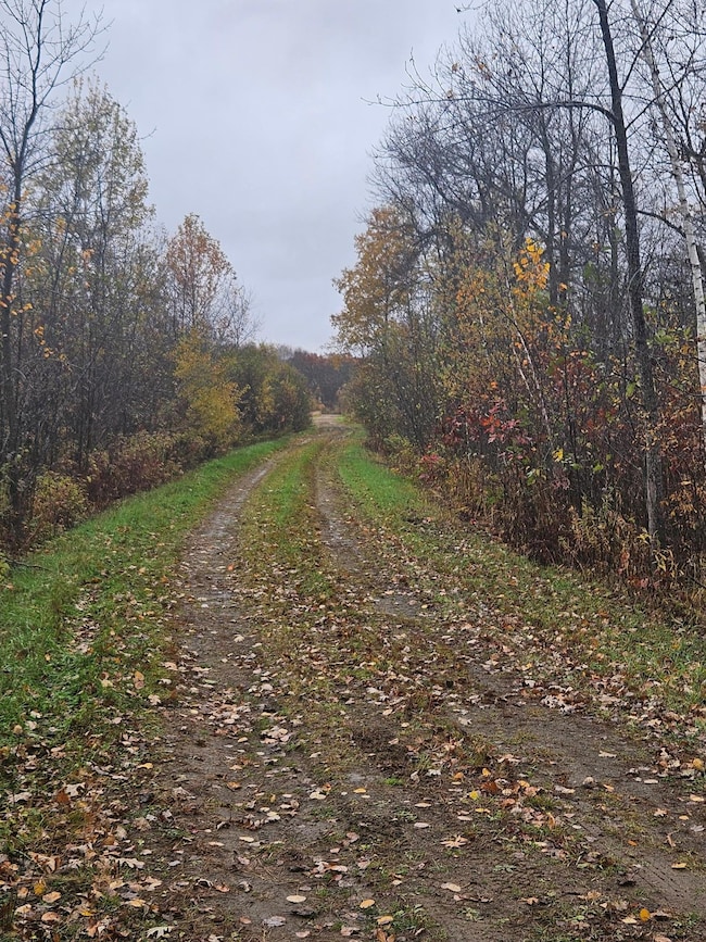 20251021_091759.jpg