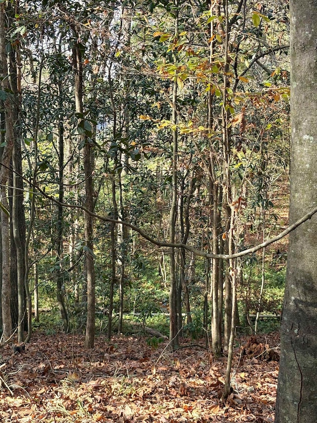 0 Quail Roost Dr unit 393643, Quincy, FL 32352 - photo 2