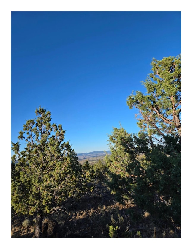 20102 SE Osprey Rd unit 800, Prineville, OR 97754 - photo 3