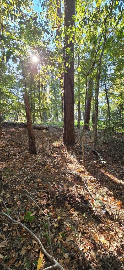 PIDN 13737 Lake Circle Dr, Broaddus, TX 75929 - photo 6