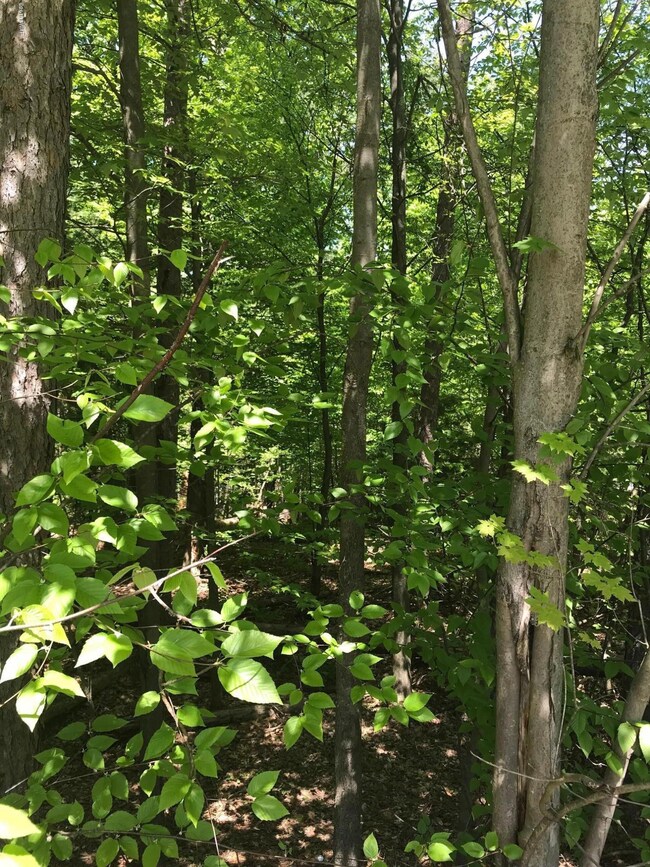 49 Hill Top Dr, Honesdale, PA 18431 - photo 3