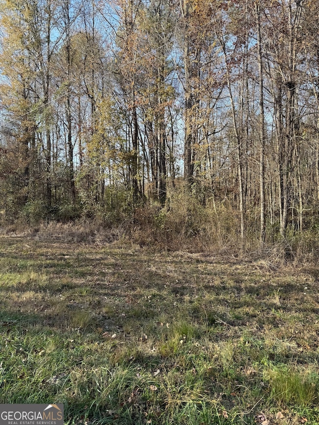 0 Wheeler Cemetery Rd unit 10647289, Maysville, GA 30558 - photo 6
