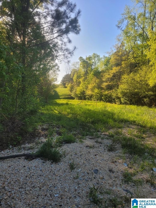 755 Pine Ridge Rd, Sylacauga, AL 35151 - photo 7