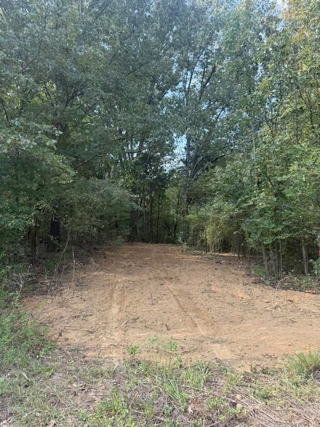 0 Bell Grove Rd unit 10211043, Oakland, TN 38060 - photo 2