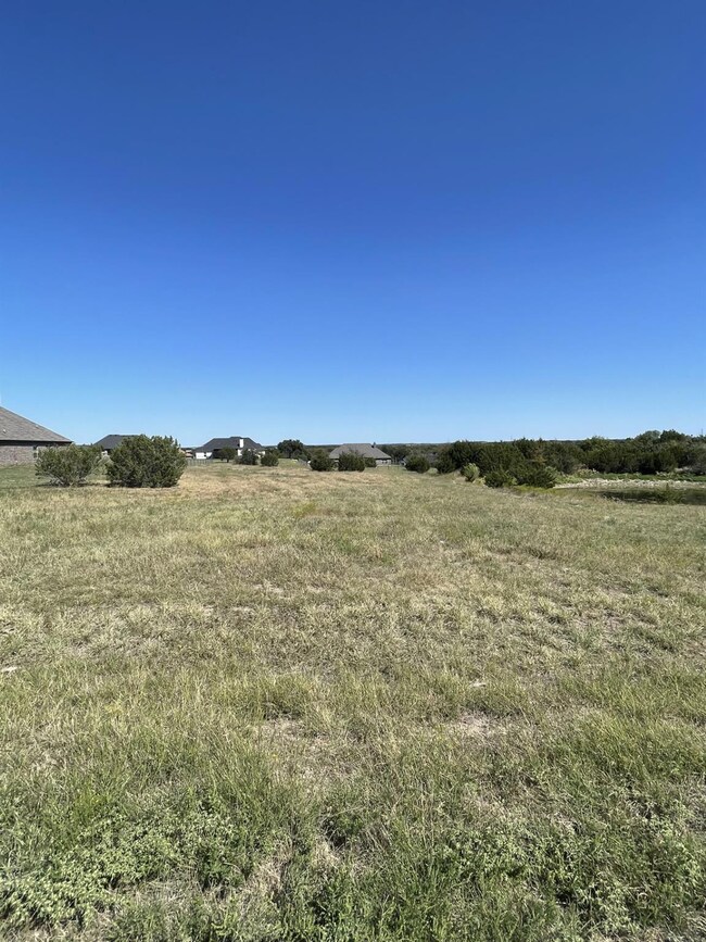 238 Martin Trail, Granbury, TX 76049 - photo 6