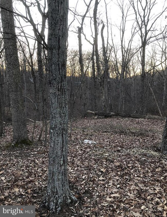 Lot 31 Mt Vista Trail, Harpers Ferry, WV 25425 - photo 2