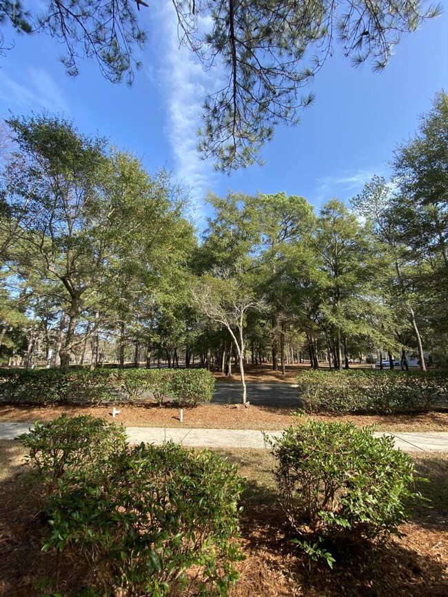 Front of lot Facing Street