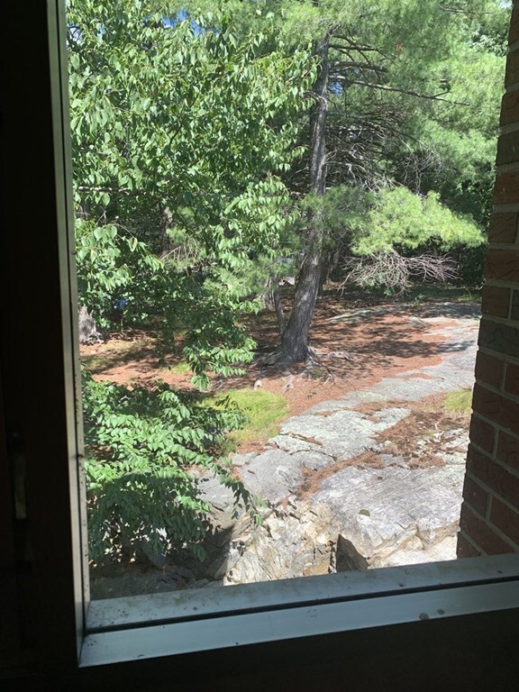 62 Jacqueline Rd unit 11, Waltham, MA 02452 - photo 4