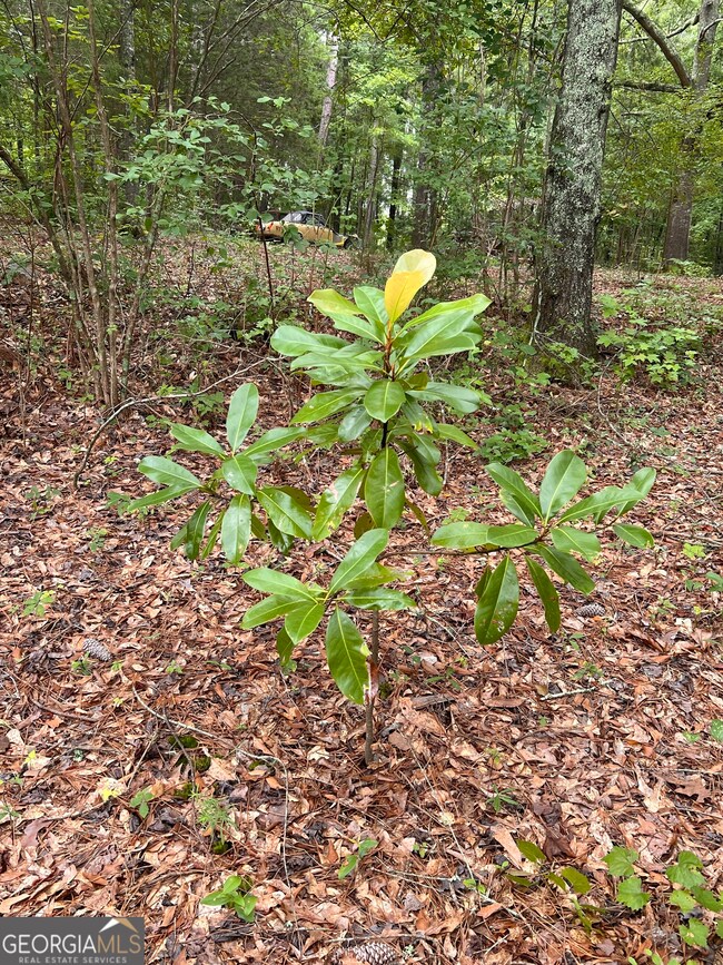 31 AC Lamb Rd, Moreland, GA 30259 - photo 7