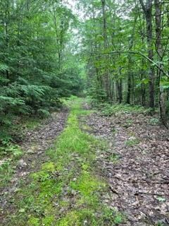 0 Mustang Valley unit 1571407, Freeport, ME 04032 - photo 4