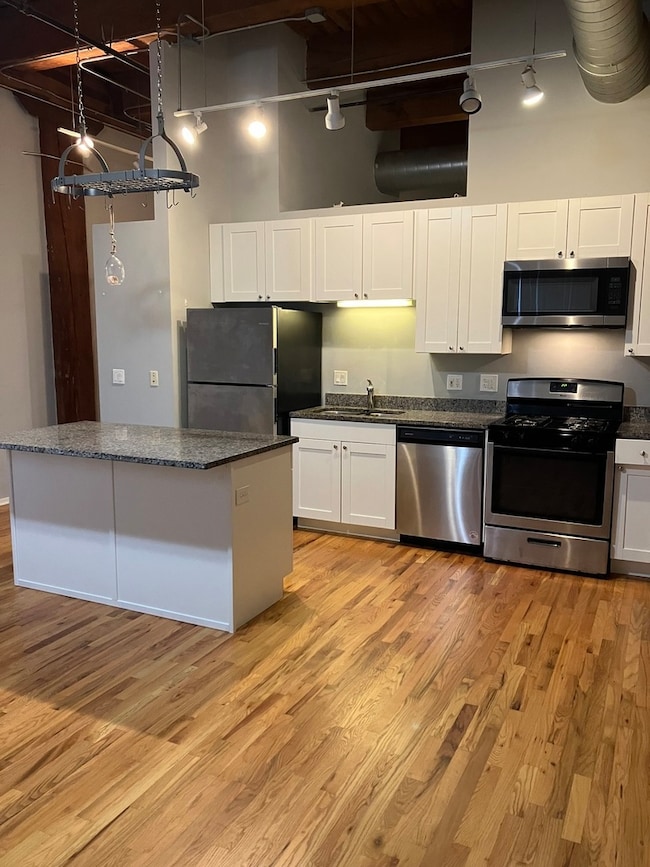 Park 1500 unit 113, Chicago, IL 60607 - photo 3