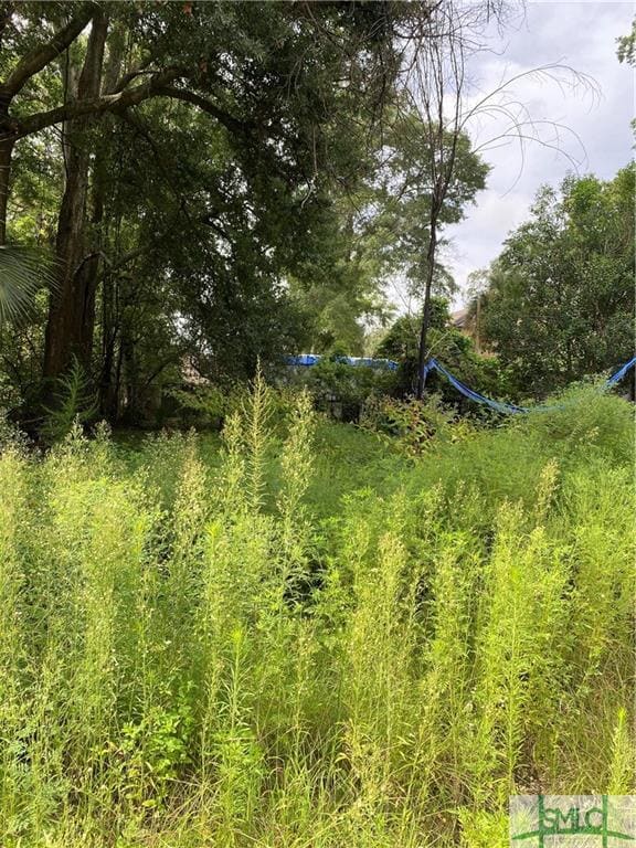 417 W 32nd St, Savannah, GA 31401 - photo 3