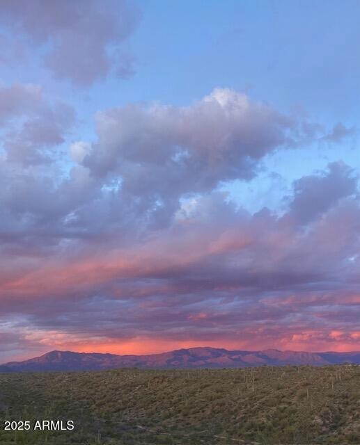 14417 N Whiteface Canyon unit 15-W, Goldfield Ranch, AZ 85264 - photo 5