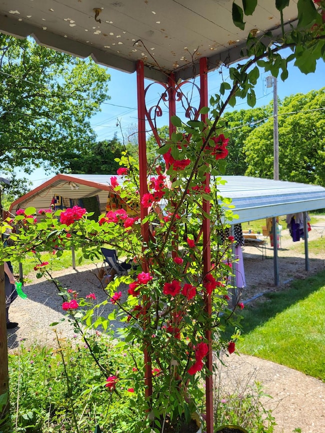 Resized952023052295143227