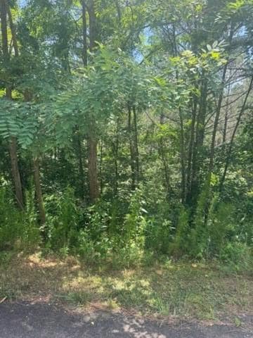 LT 43&44 Reece Mountain Rd, Ellijay, GA 30546 - photo 7