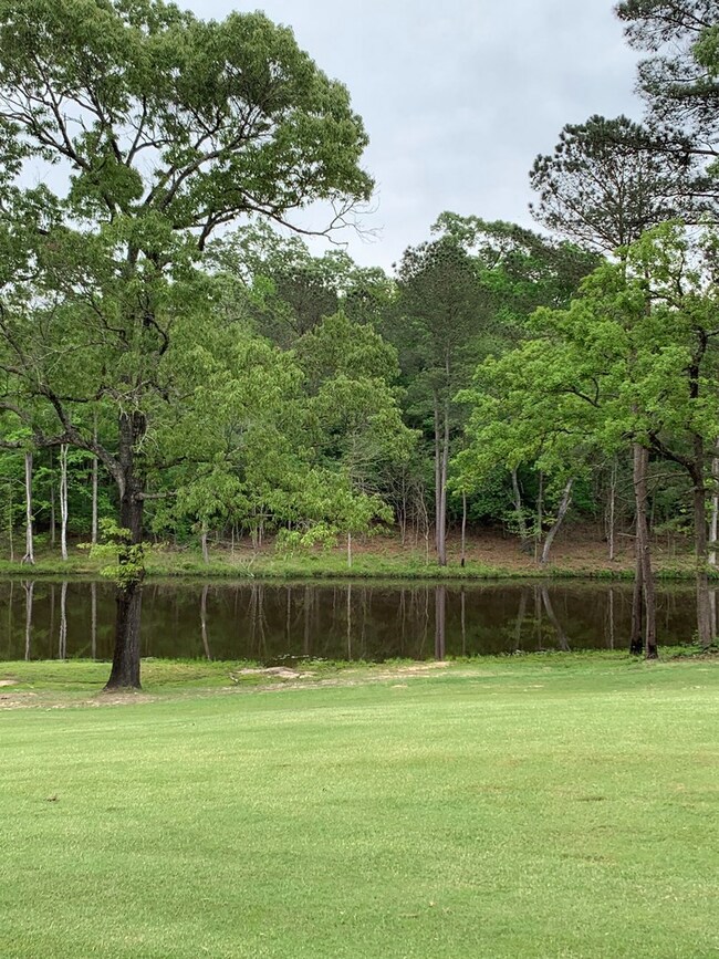 TBD Us Hwy 59 S, Nacogdoches, TX 75964 - photo 5