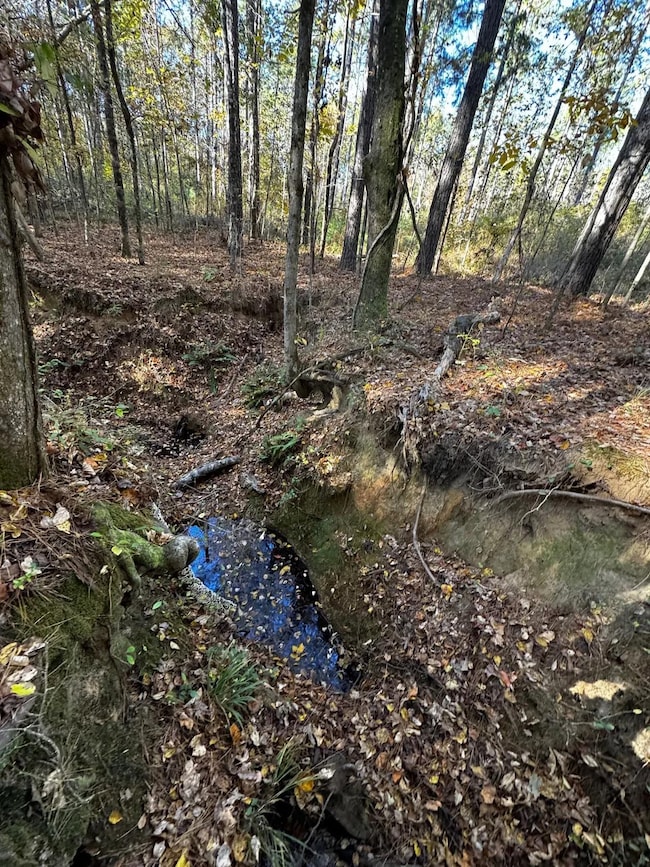 21 Lee Road 254, Salem, AL 36874 - photo 2