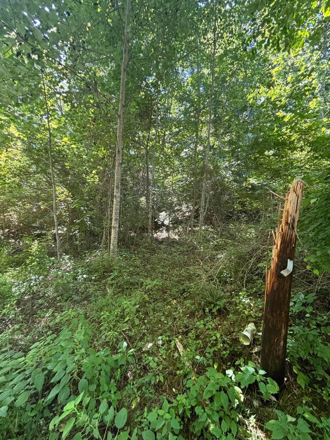 48 Jasper Lake Dr, Burnside, KY 42519 - photo 4