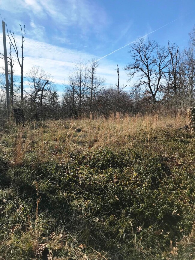 Tbd Farm Road 2090, Jenkins Township, MO 65605 - photo 2