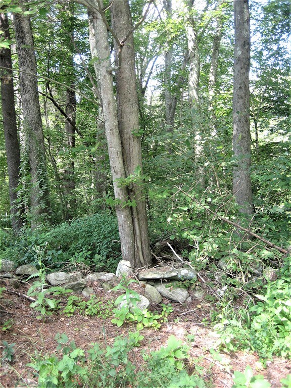 0 Gale Rd, Charlton, MA 01507 - photo 3