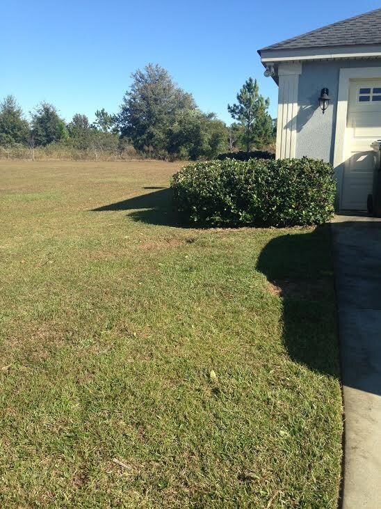 1110 Cottage Blvd, Brunswick, GA 31525 - photo 4