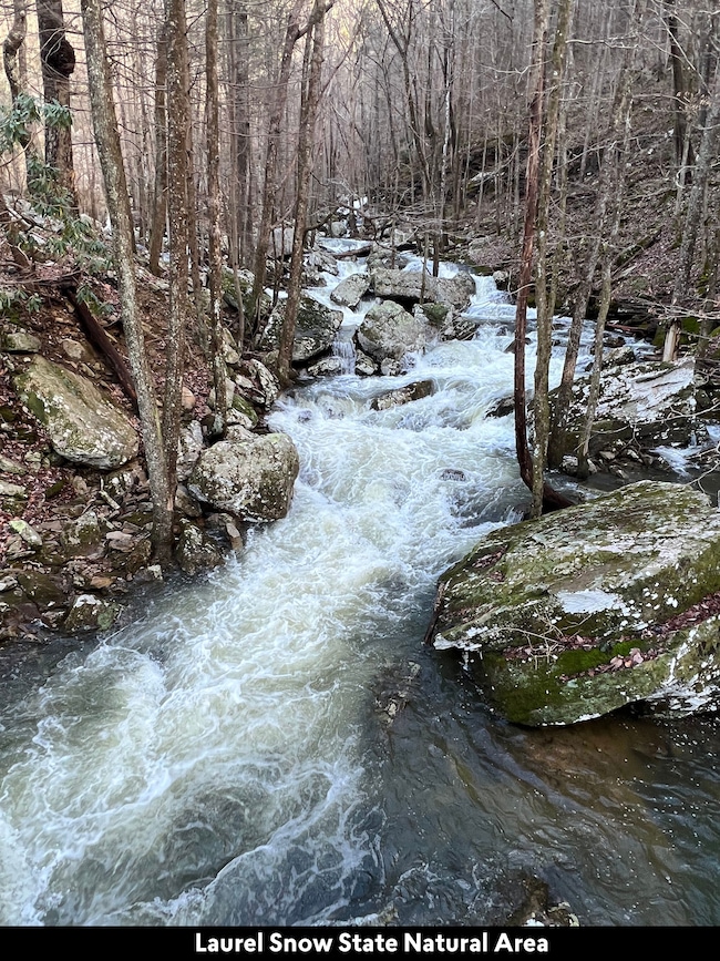 30 Ssr Dr, Pikeville, TN 37367 - photo 7