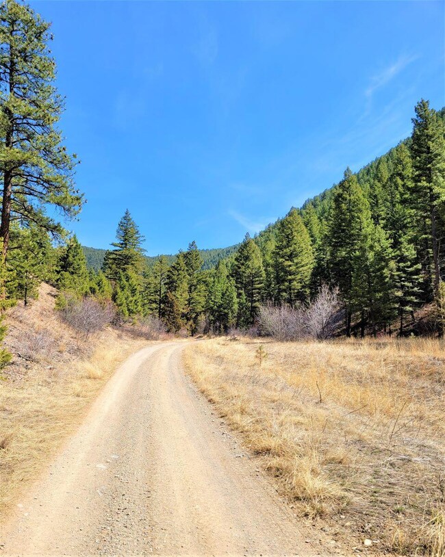 Tbd Black Bear Rd, Helena, MT 59602 - photo 6