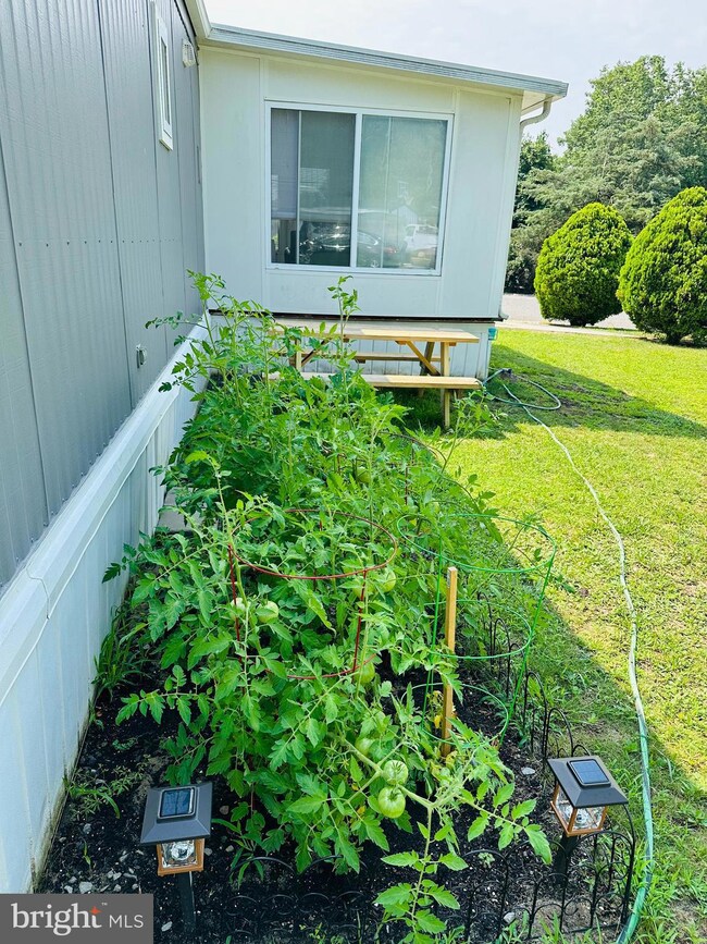 1 Holly Rd, West Creek, NJ 08092 - photo 2