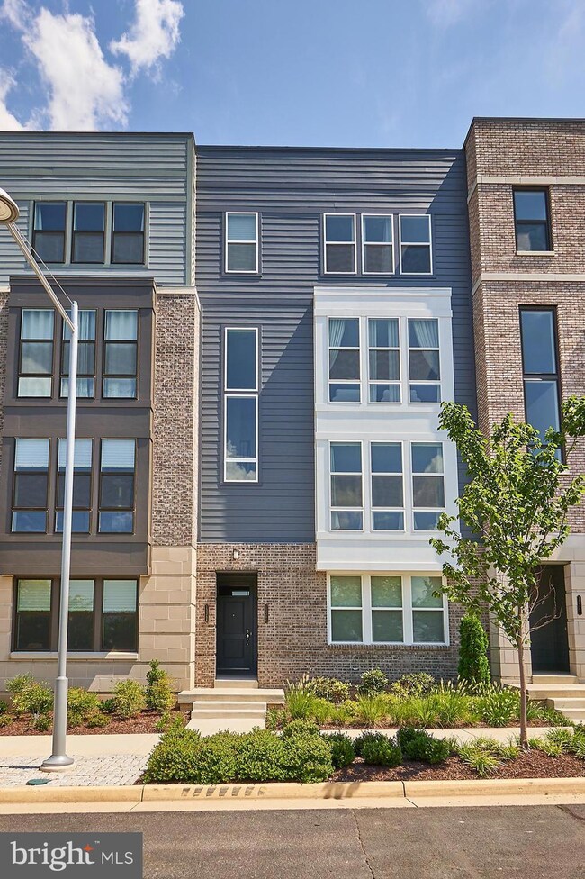 13386 Arrowbrook Centre Dr unit 53, Herndon, VA 20171 - photo 4