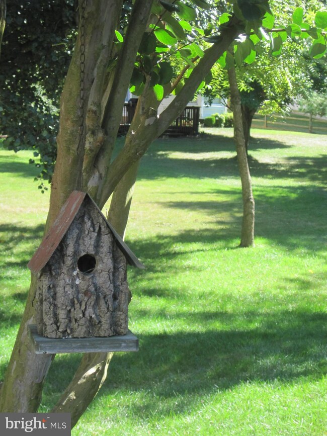 6206 Point Cir, Centreville, VA 20120 - photo 5