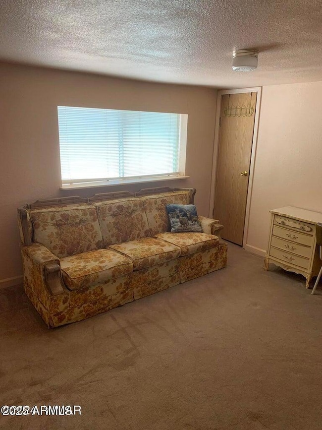 5457 White Antelope Rd, Snowflake, AZ 85937 - photo 5