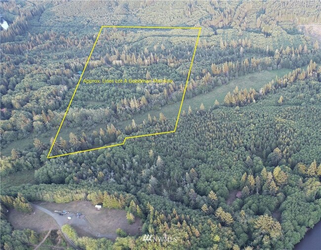 9999 Goodman Mainline Rd, Forks, WA 98331 MLS NWM1847087