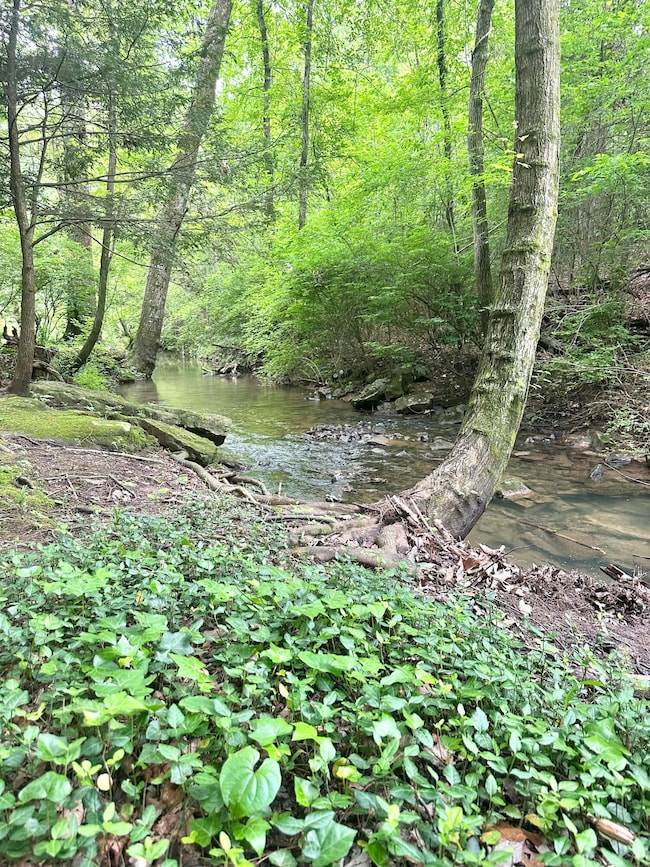 31762_Image_2
