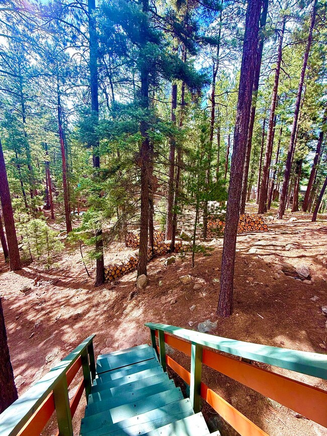 71 Ponderosa Way, Jemez Springs, NM 87025 - photo 3