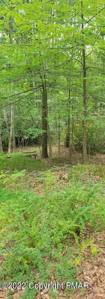 1410 Silver Maple Rd, Effort, PA 18330 - photo 2