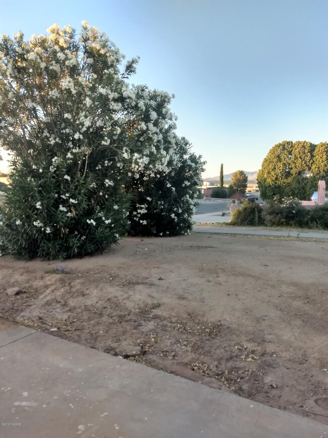 IMG_20190618_191009093_HDR