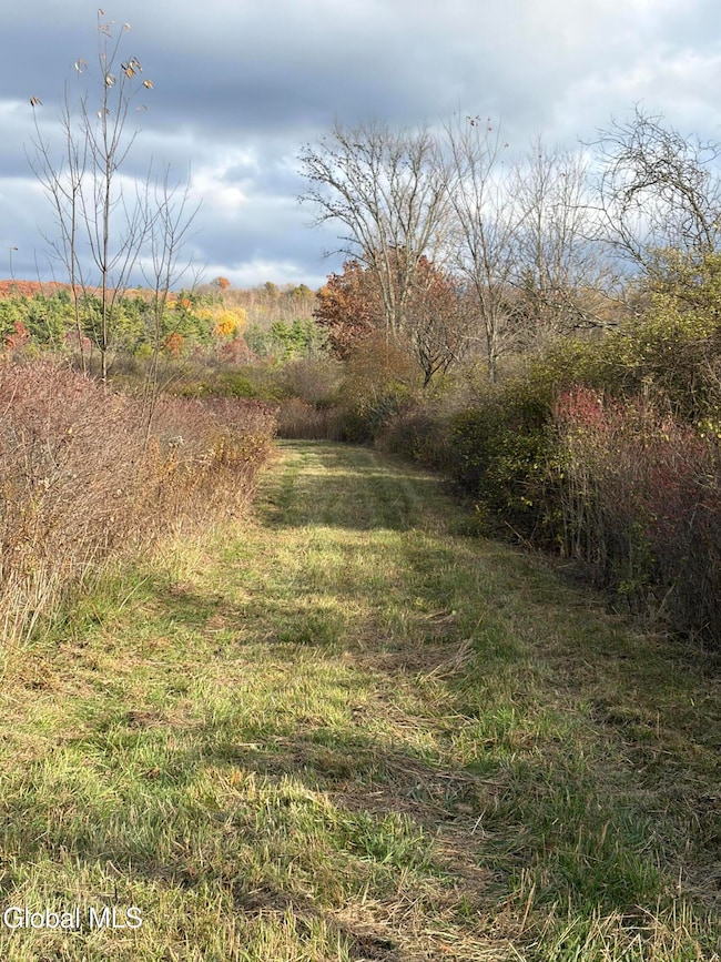 39 Valley View Way, Whitehall, NY 12887 - photo 2