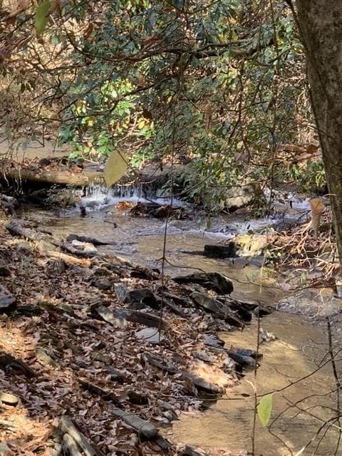 Lot 95 Cedar St, Ellijay, GA 30540 - photo 4