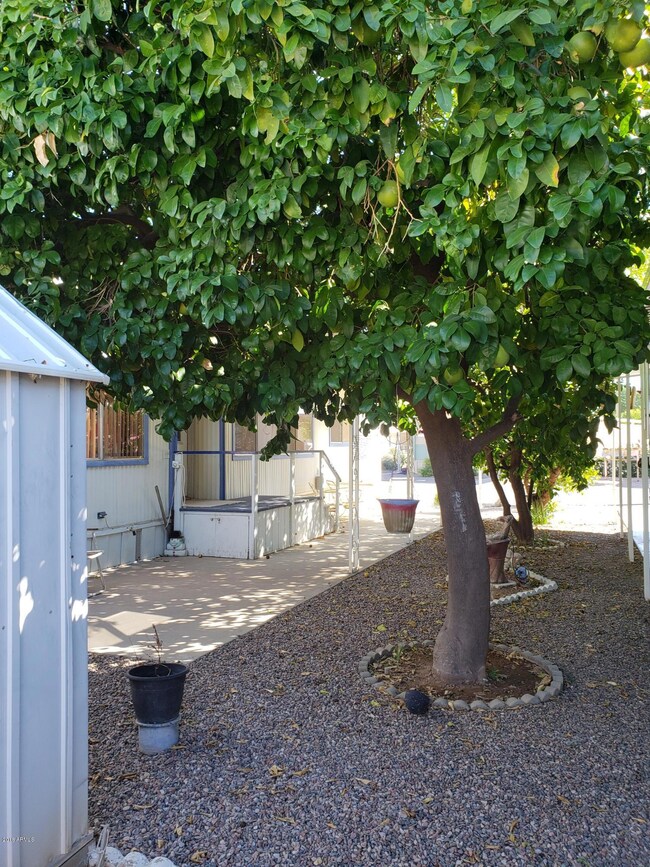 east patio