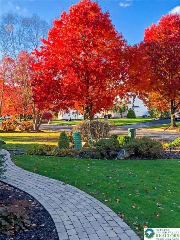 Beautiful Autumn View From the Front Door