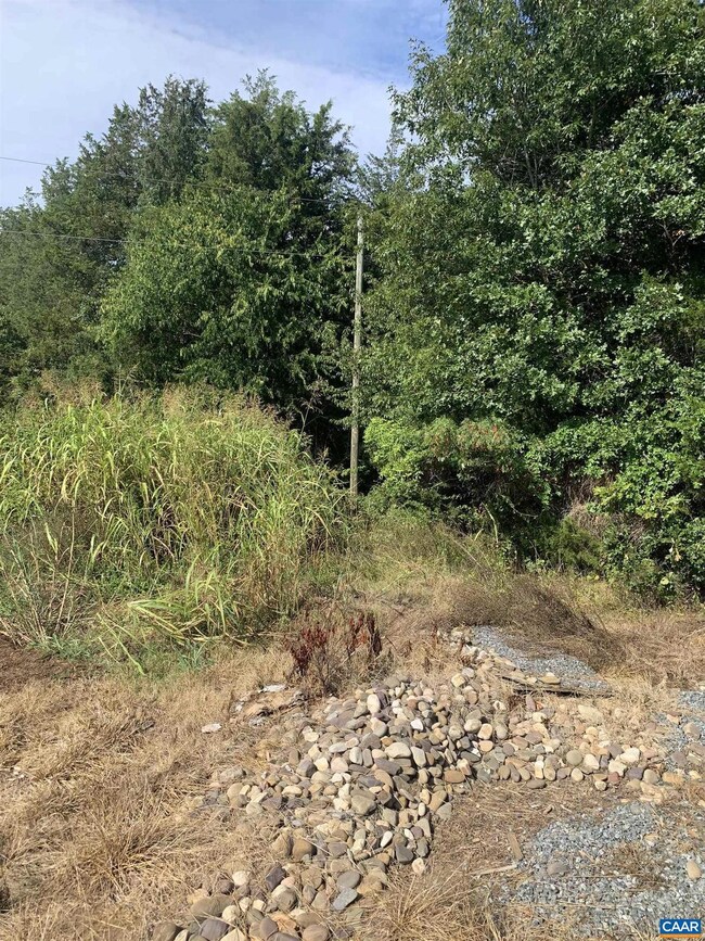 7 Summerfields Ln, Ruckersville, VA 22968 - photo 4