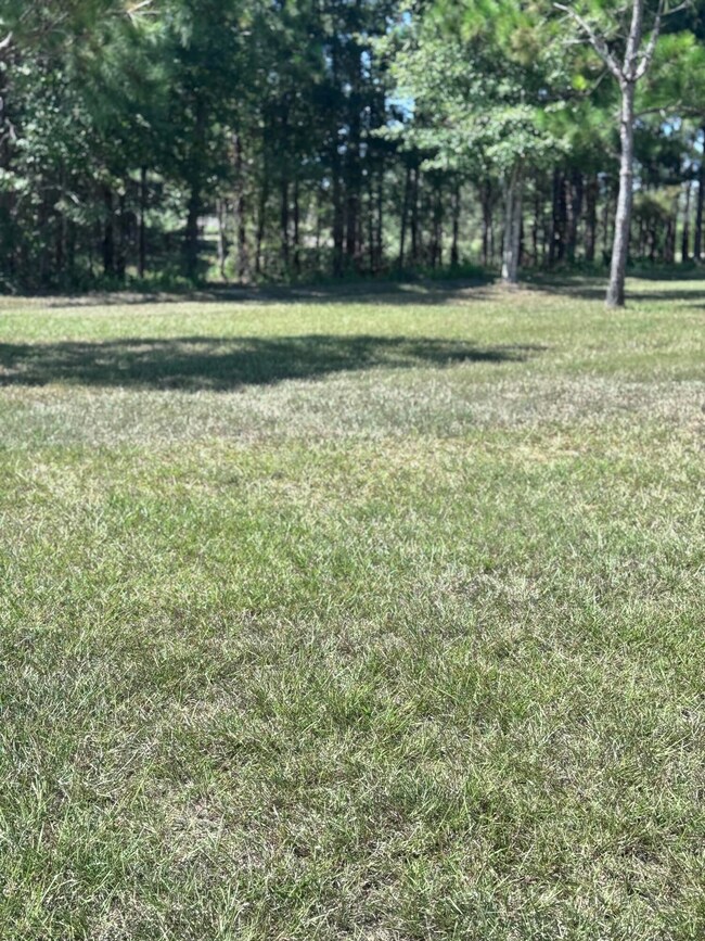 14 Painted Arrow (Lot #41), Lumberton, MS 39455 - photo 6