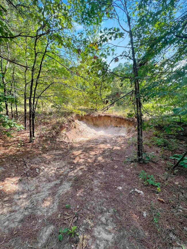 2684 Greene 138 Rd unit 2685 Greene 138 Road, Paragould, AR 72450 - photo 5