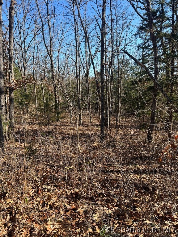 0 Lavender Rd unit 3582831, Moreau Township, MO 65011 - photo 4